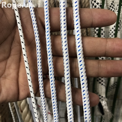 Day Du Tet Tron Mau Trang2